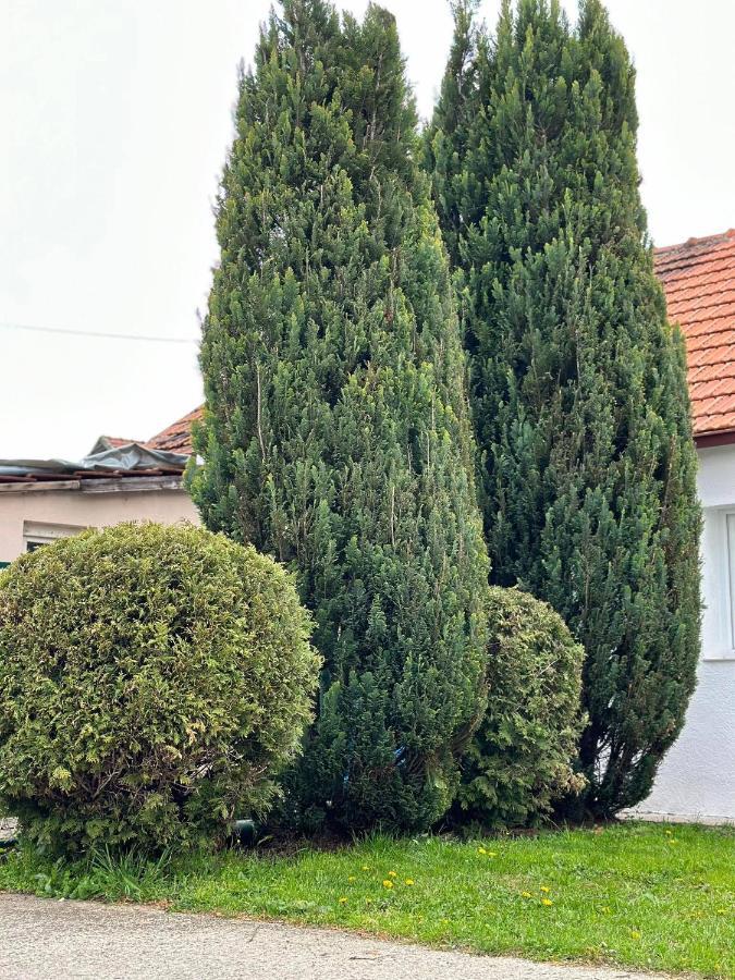 Apartmani Emily & Jully Nikšić Esterno foto
