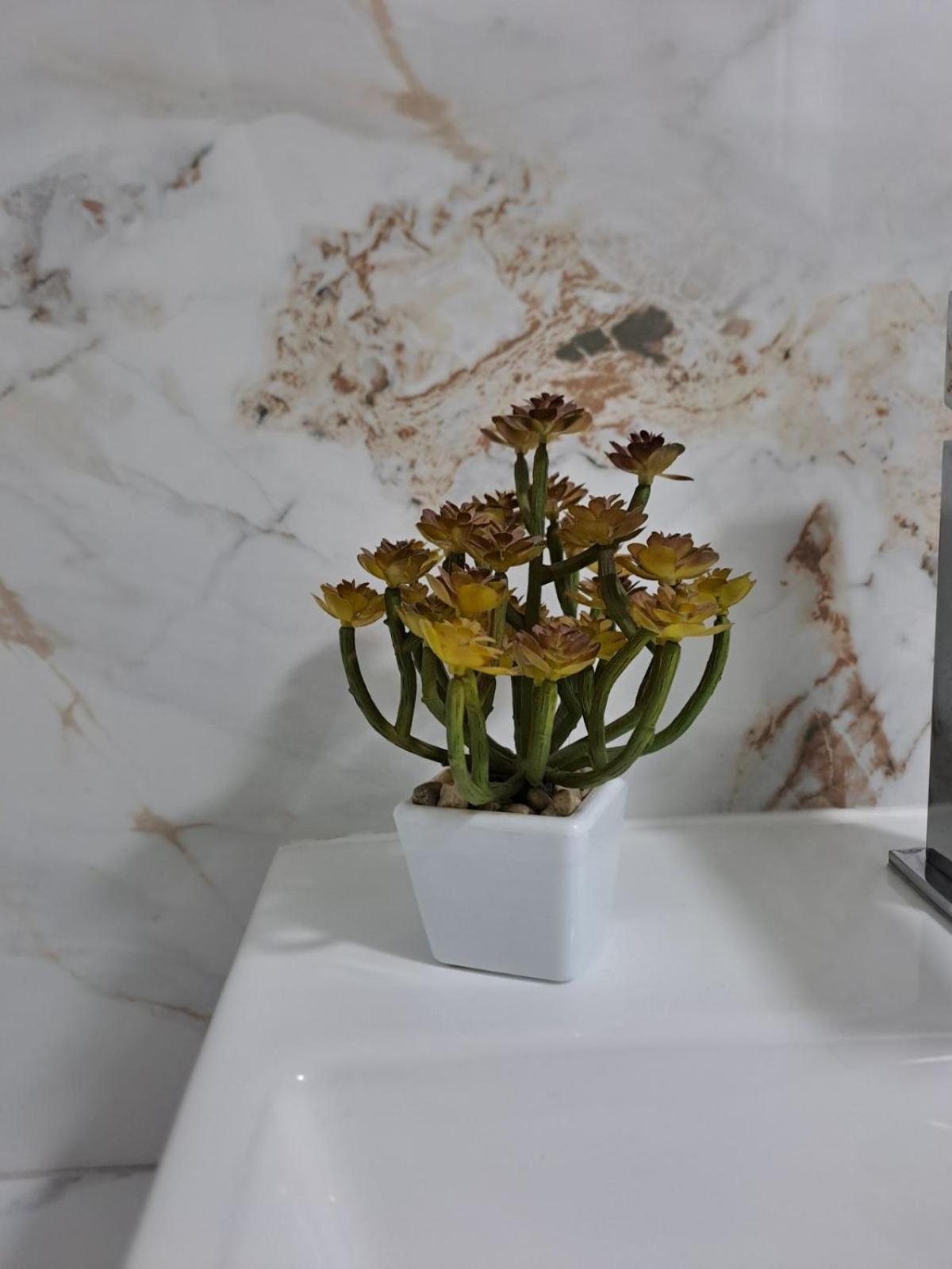 Apartmani Emily & Jully Nikšić Esterno foto